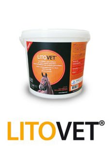 LITOVET® Rozenbottelextract bij paarden met pijnlijke gewrichten